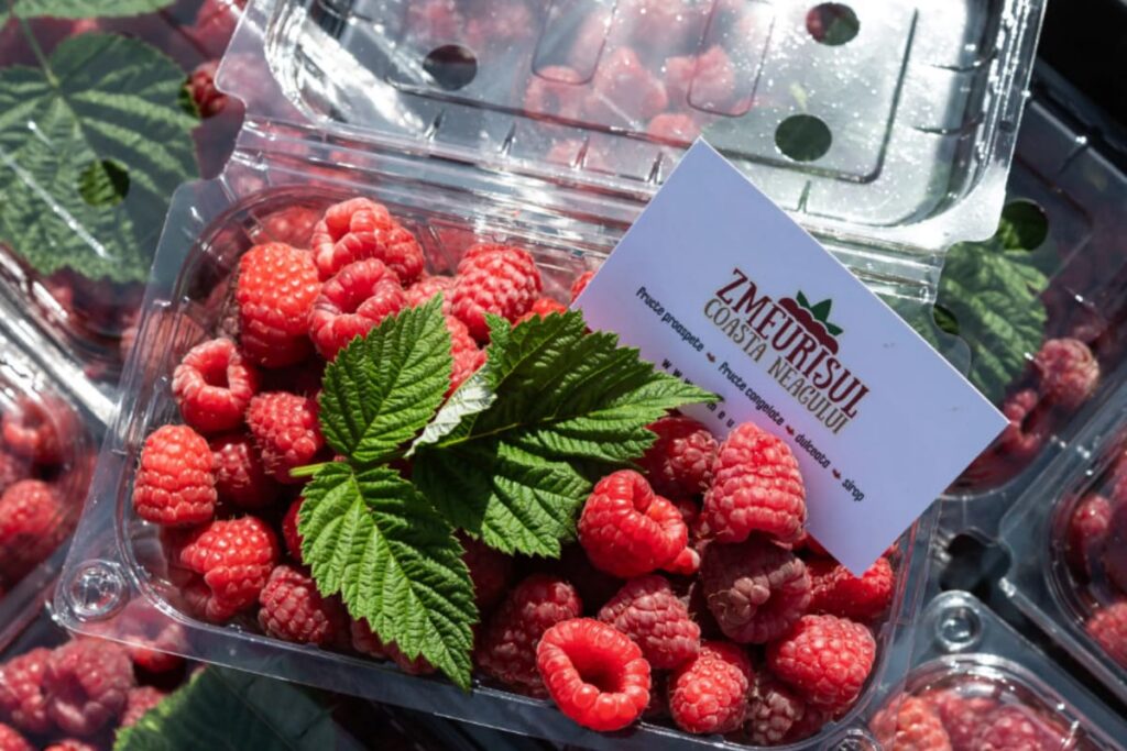 caserole cu zmeura proaspata de la producatori locali