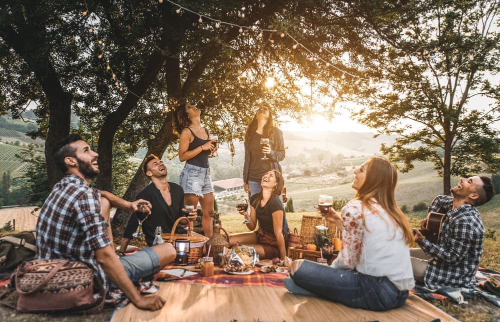 Socializare la picnic