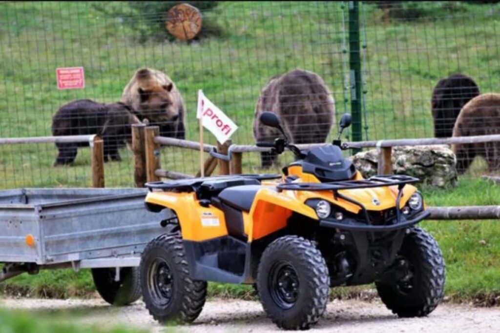ATV cu stegulet Profi la sanctuarul Libearty