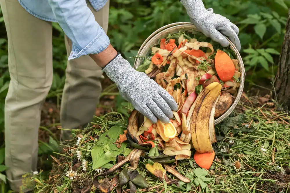 imagine cu compost