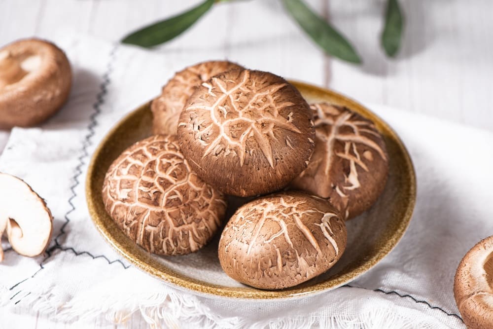 ciuperci brune pentru supa crema de ciuperci
